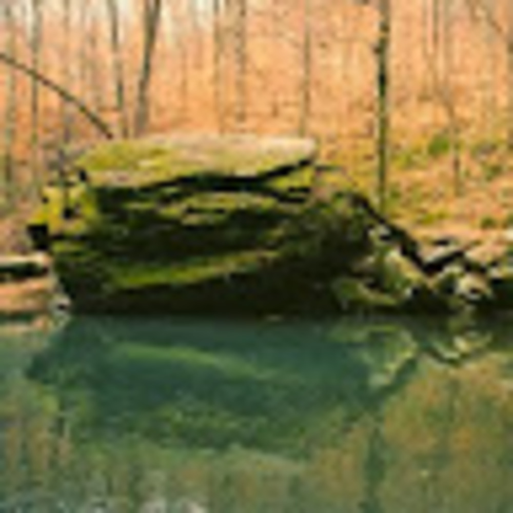 Meet your Posher, Jeffery